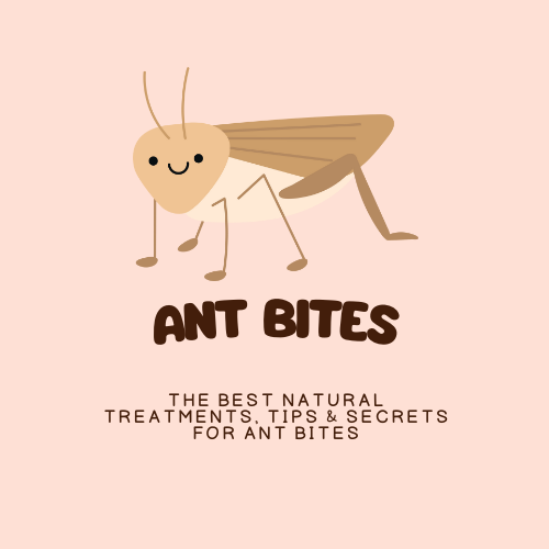 Ant Bites