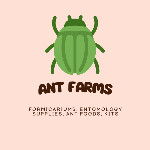 Ant Farms