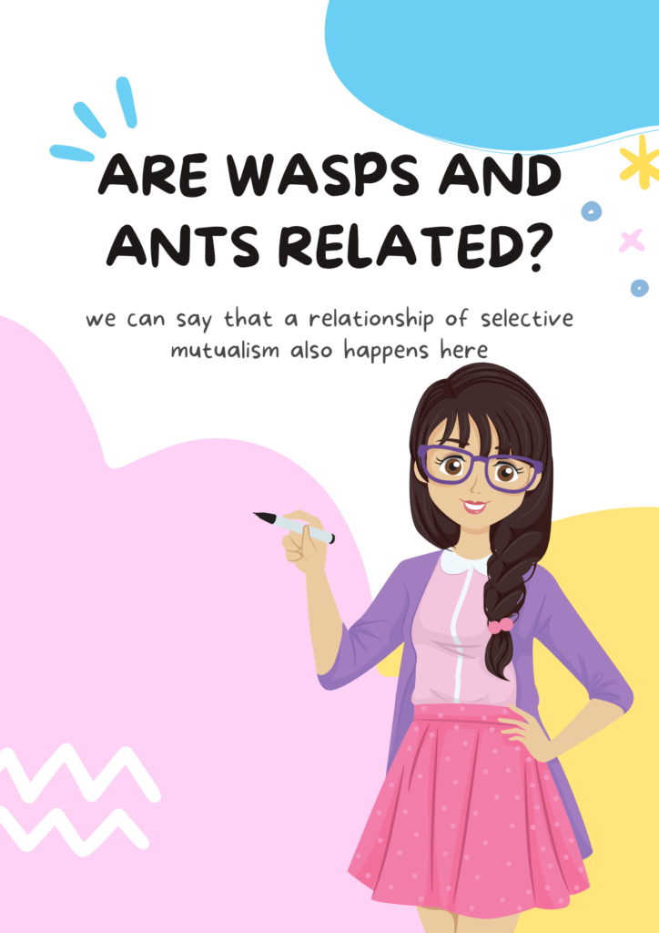 Mutualism Between Ants and Wasps