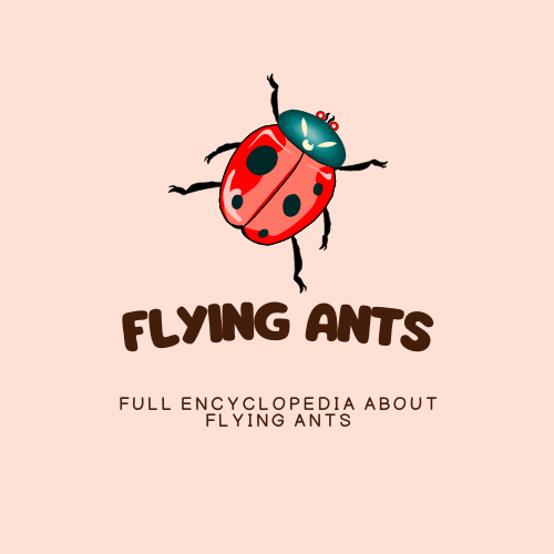 Flying ants