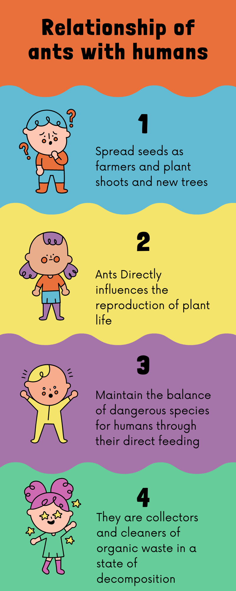 Infographic about the importance of ants for humans