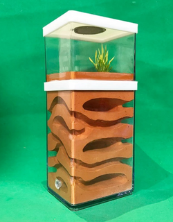 formicarium