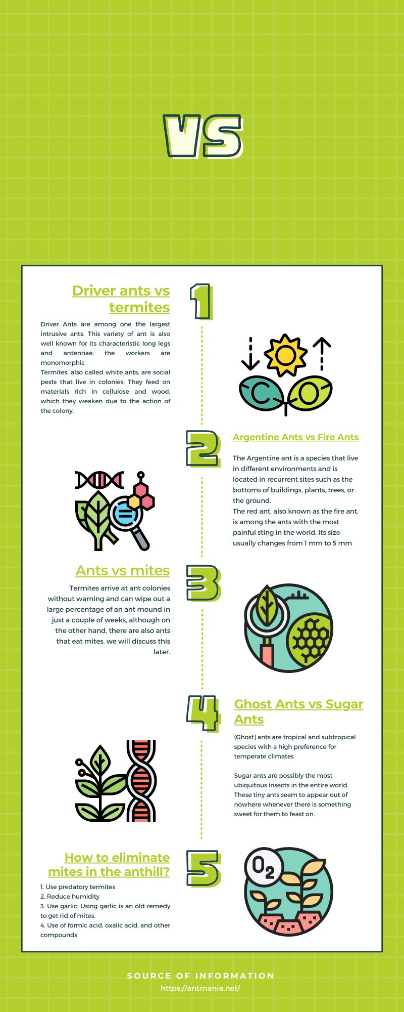 Ants vs Infographic