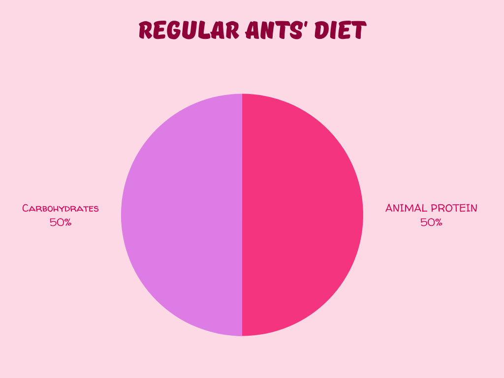 ANTS' DIET