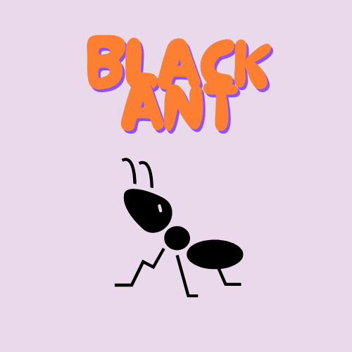 Black ant logo