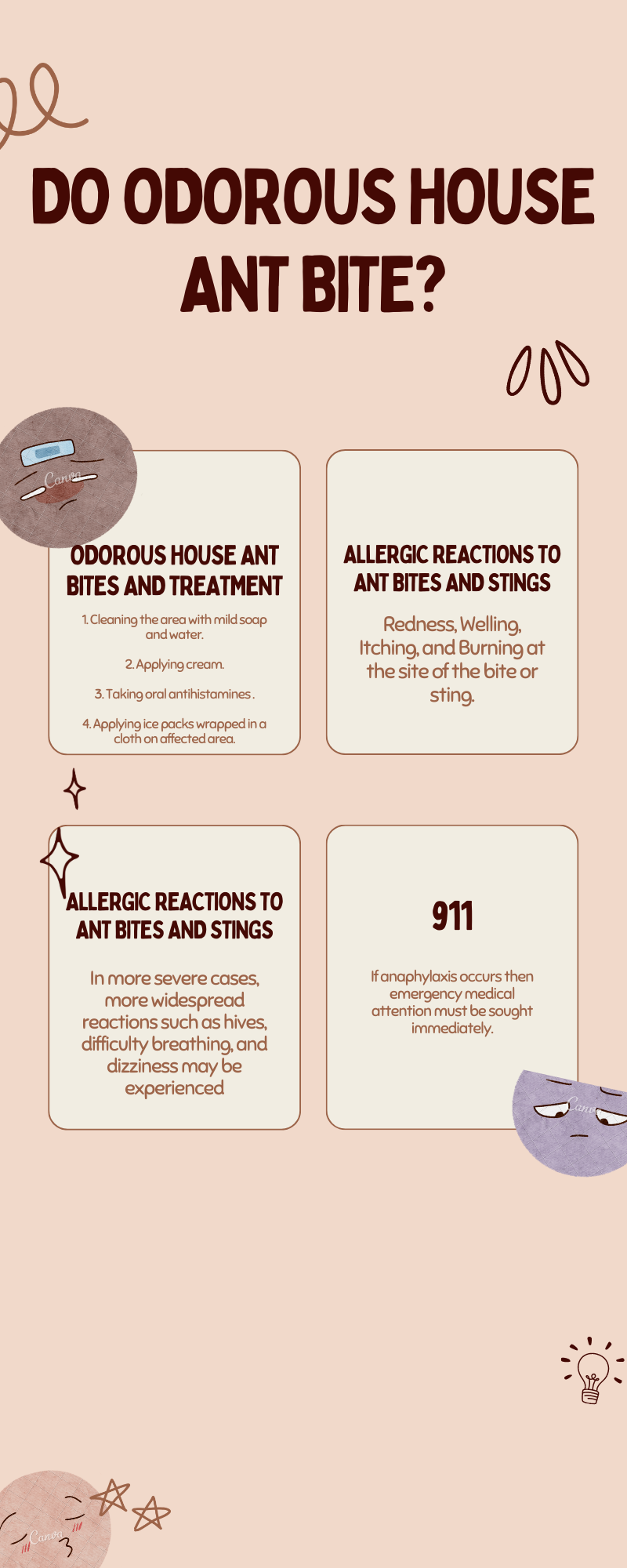 Odorous House Ant Bites and Treatment